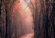 广厦110-107山西,赛后迎4好消息,赵嘉仁+农纳利+许钟豪证明自己.