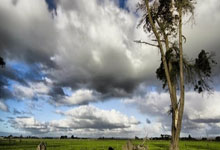 恭喜！中国羽毛球大师赛刘圣书／谭宁女双夺冠央视新闻客户端.