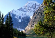 雷速体育官网：孔帕尼月薪75万欧为德甲最高，凯恩&穆西亚拉是薪资最高球员.